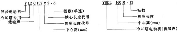 YSCLYLZCϵsõஐ늄әC(j)Y(ji)(gu)鼰c